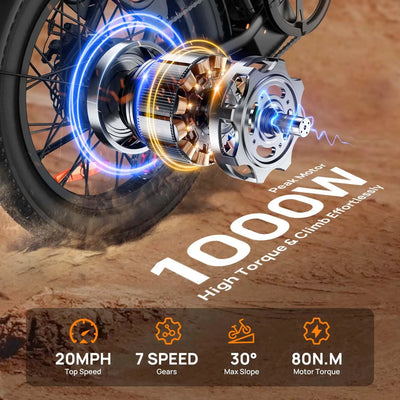 Speed Electric Bicycles with Dual Disc Brake