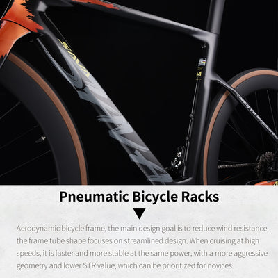 Proven Complete Bike Carbon Fiber Frame
