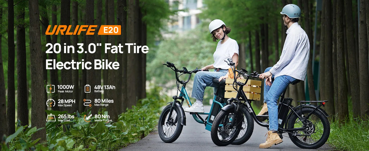 Speed Electric Bicycles with Dual Disc Brake