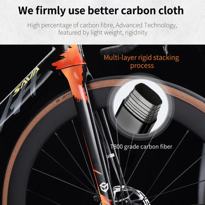 Proven Complete Bike Carbon Fiber Frame