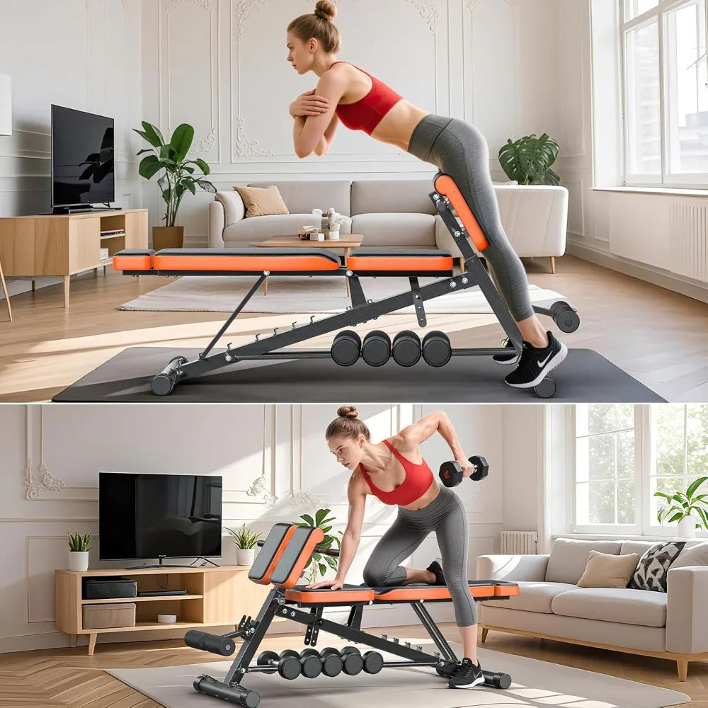Roman Chair, Adjustable Weight Bench Back Extension Machine for Home Gym,