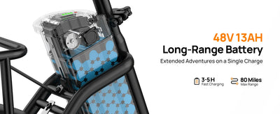 Speed Electric Bicycles with Dual Disc Brake
