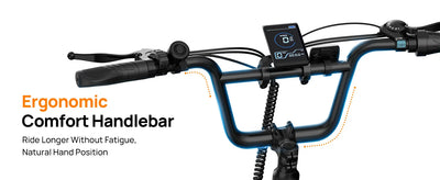 Speed Electric Bicycles with Dual Disc Brake