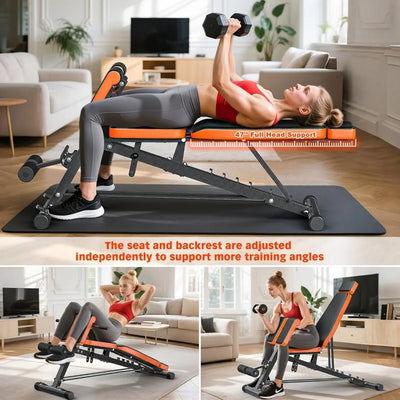 Roman Chair, Adjustable Weight Bench Back Extension Machine for Home Gym,