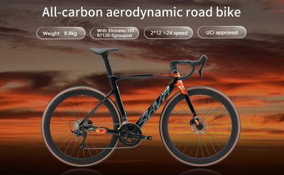 Proven Complete Bike Carbon Fiber Frame